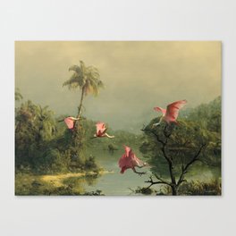 Spoonbills in the Mist Canvas Print