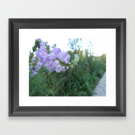 In Focus Framed Art Print