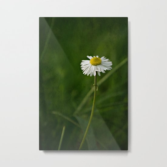 Daisy Metal Print