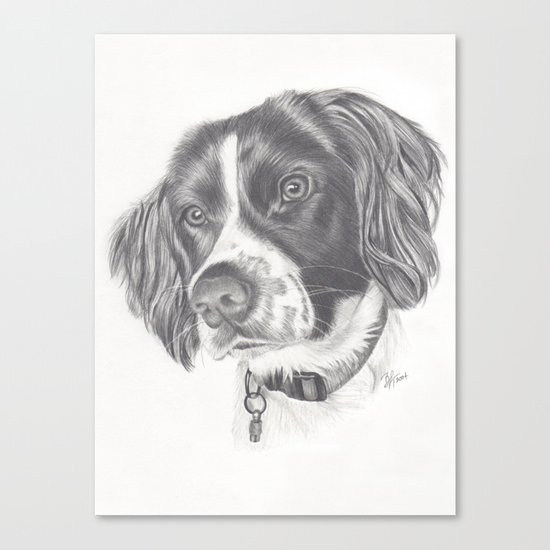 Springer Canvas Print