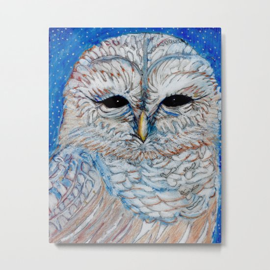 Owl Metal Print
