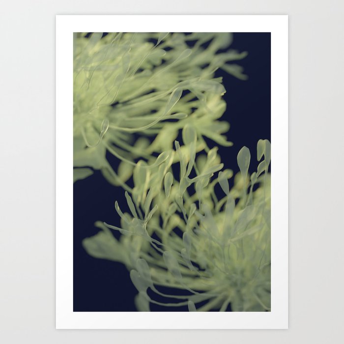 Floral Abstract Blue/Green Art Print Art Print