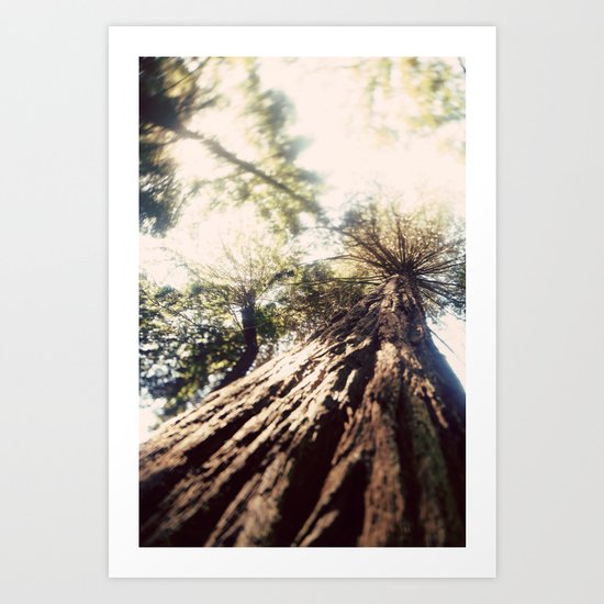 Too Tall Tree Art Print