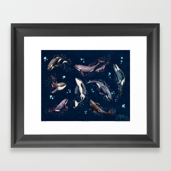 "Orca Pod in Watercolor" by Amber Marine, (Navy Blue Version) Killer Whale Art, © 2019 Framed Art Print