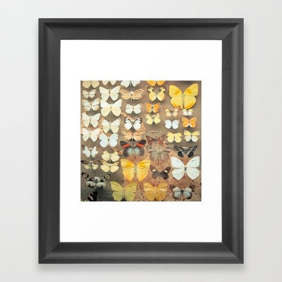 The Butterfly Collection I Framed Art Print