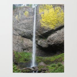 Latourell Falls, Oregon Poster