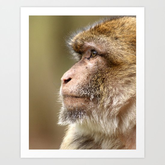Monkey Business Art Print