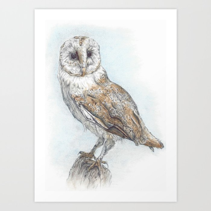 Owl Art Print