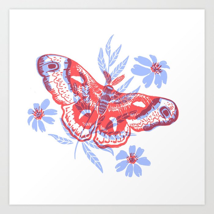 Cecropia Moth Art Print