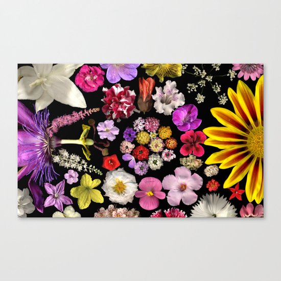 Dueling Families Canvas Print