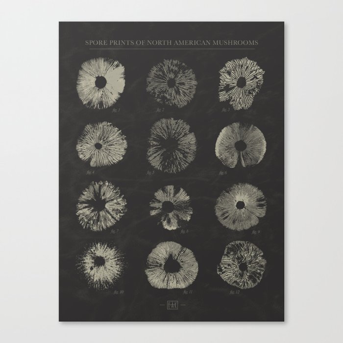 Spore Prints of North American Mushrooms (White on Charcoal) Canvas Print