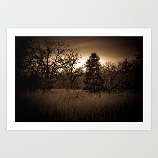 Idaho Art Print