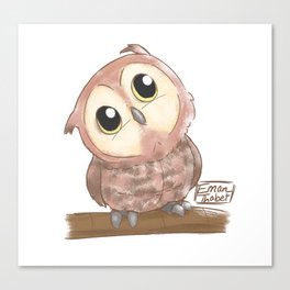 Baby owl Canvas Print