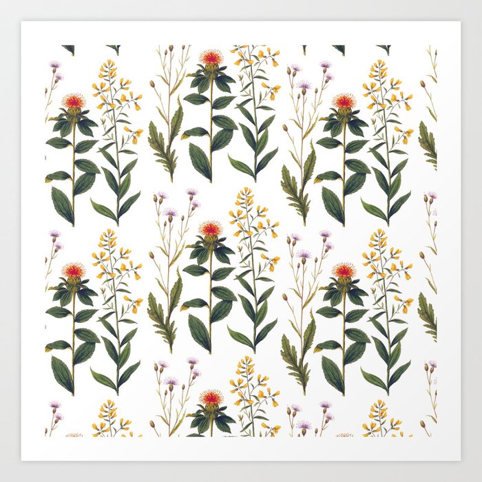 Wildflowers and Thistles Nature Lover Art Print