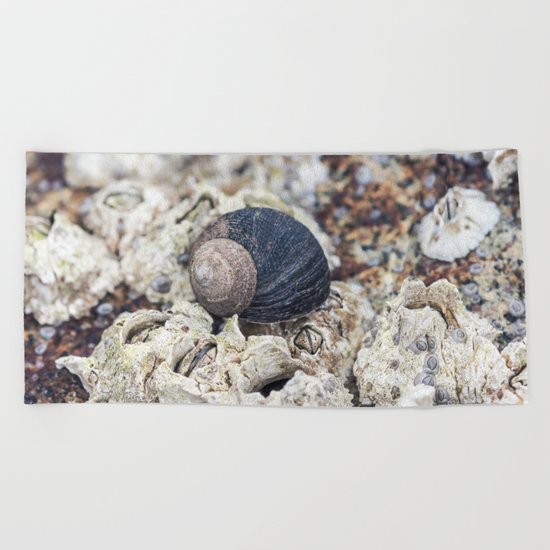 periwinkle close up Beach Towel