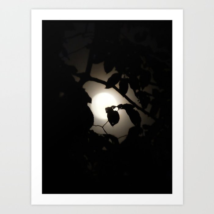 Hiding | Leaves before Moon Art Print