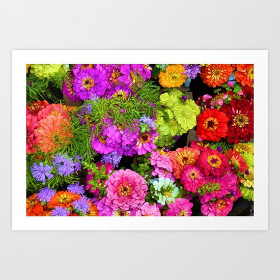 POP Zinnias Art Print