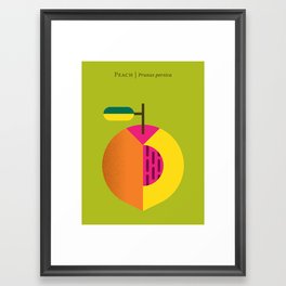 Fruit: Peach Framed Art Print