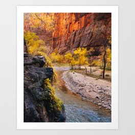 Colors of Zion Fine Art Print Art Print