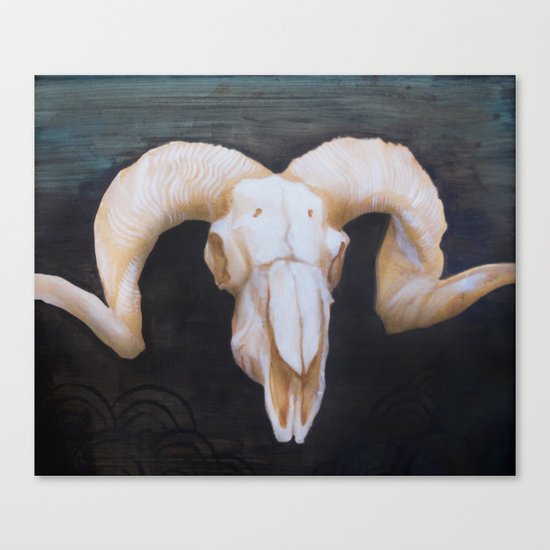 Skull study Canvas Print