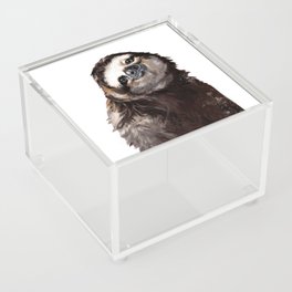 Sloth Acrylic Box