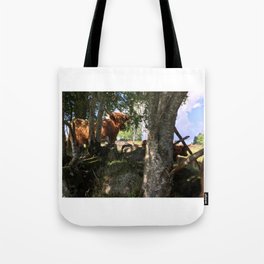 Fluffy Highland Cattle Cow 1183 Tote Bag