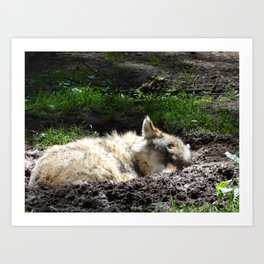 Let Sleeping Wolf Sleep Art Print