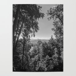 Forest Photograph Poster