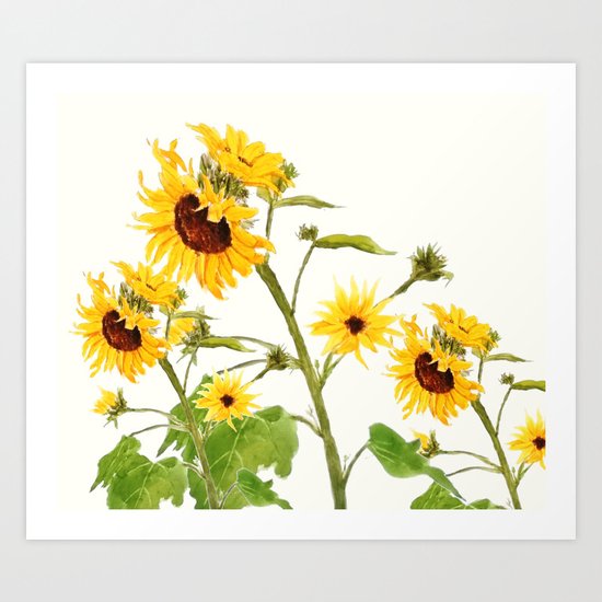 sunflowers Art Print