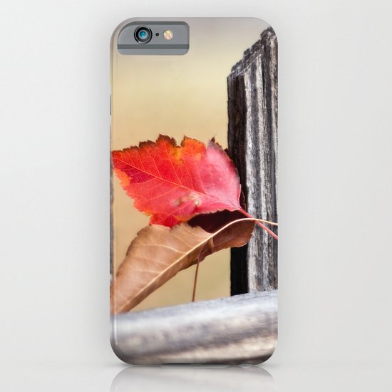 On the Fence iPhone & iPod Case