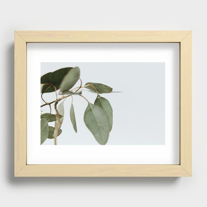 Seeded Eucalyptus | 1 Recessed Framed Print