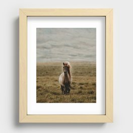 Icelandic Horse Recessed Framed Print