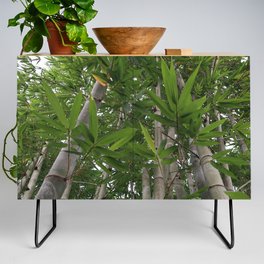 Bamboo Forest Credenza