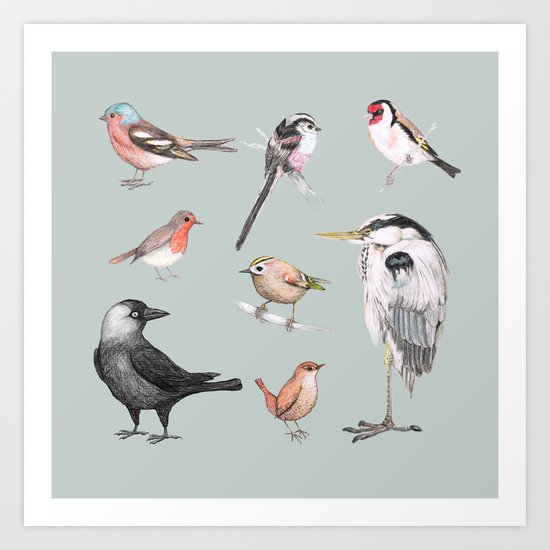 Birds Art Print