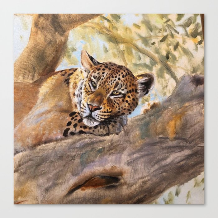 Tiger relaxing on a tree Canvas Print