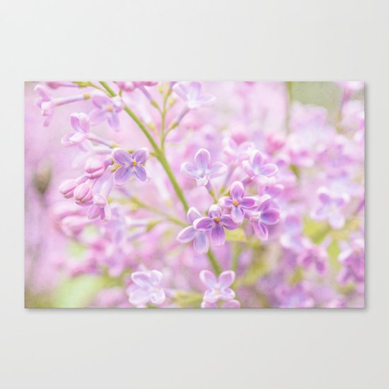Lilac Flowers Mist Canvas Print