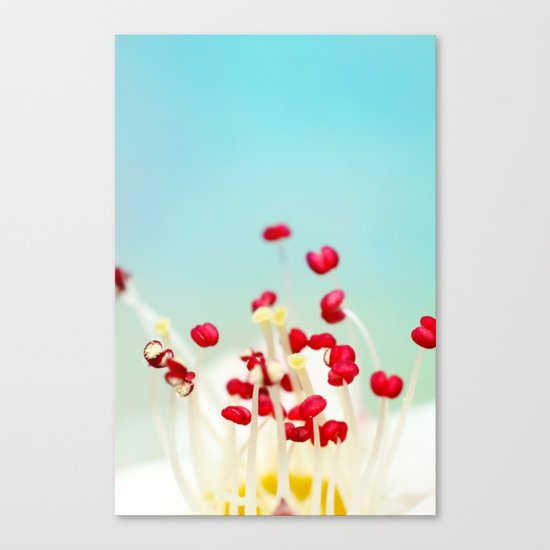 Blooming Candy Red Canvas Print