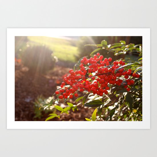 Red Berries Art Print