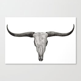 Longhorn Bull Skull Canvas Print