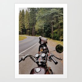 Travels with Chris Art Print