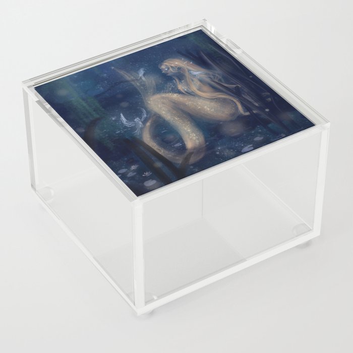 Mermaid and Birdies Acrylic Box