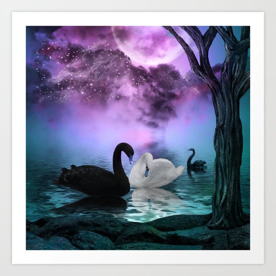 Wonderful black and white swan Art Print