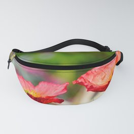 Red Poppy Papaver Rhoeas Garden with Blurry Background Fanny Pack