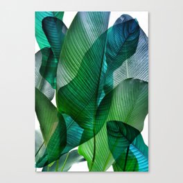 Palm leaf jungle Bali banana palm frond greens Canvas Print