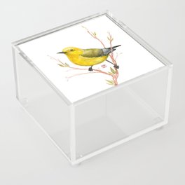 Prothonotary warbler watercolor Acrylic Box