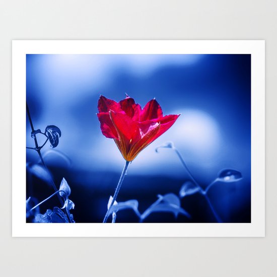 Natural Dominance Art Print