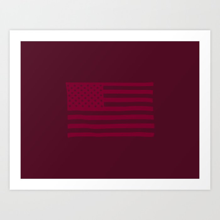 American Flag Buffalo Art Print