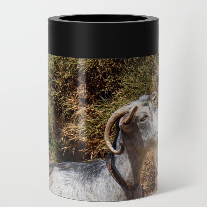 Greek Goat on the Hill | Green Animal Photograph | Cute & Fuzzy Mountain Goat | Travel Photography in Greece Can Cooler