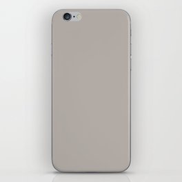 Neutral Veiled Gray - Grey Solid Color Pairs PPG Mercurial PPG1006-4 - All One Single Shade Colour iPhone Skin