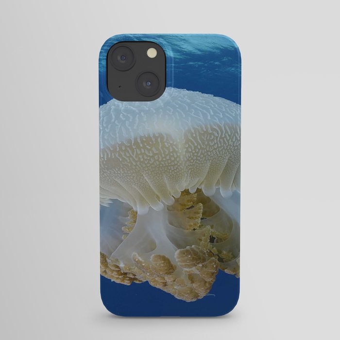 fish iPhone Case